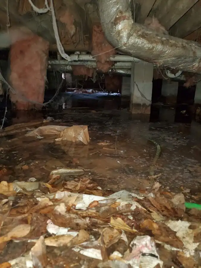 Crawl space flood assessment for Leak Detection & Repair in Fayetteville